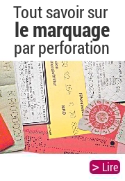 Tout savoir sur le marquage par perforation