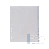 Intercalaires maxi polypro mensuel 12 touches 