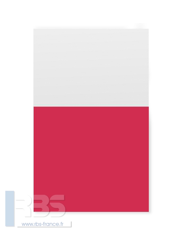 Chemises à oeillets pour agrafage Standing 240g - Coloris : Géranium