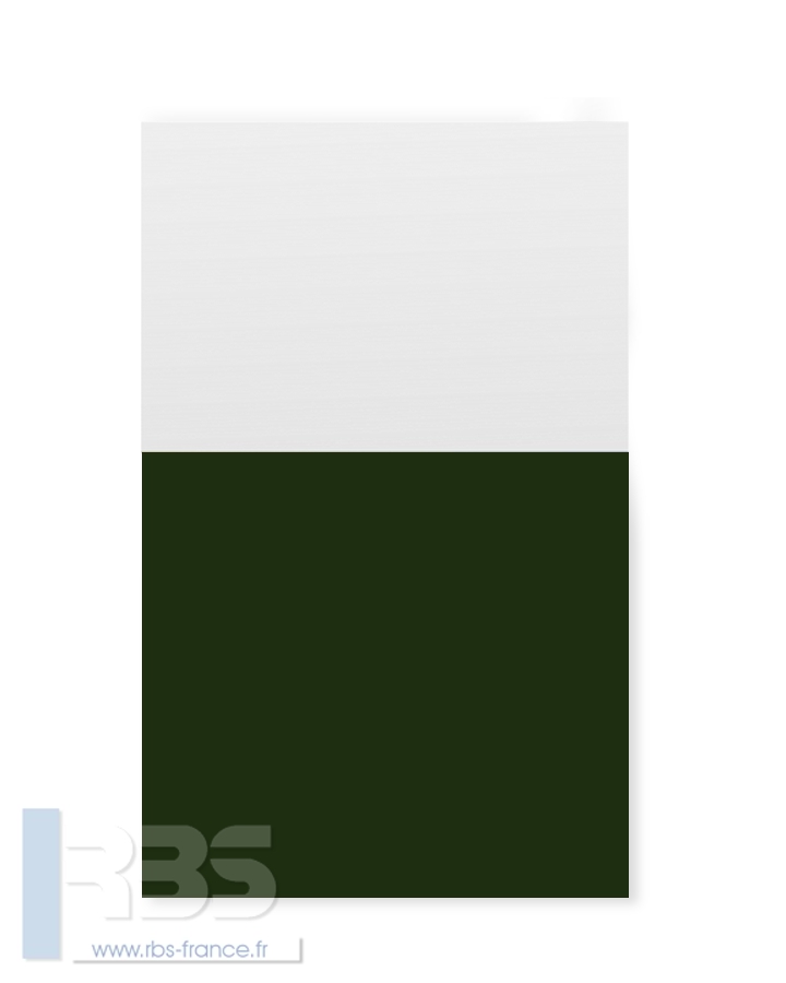 Chemises à oeillets pour agrafage Standing 240g - Coloris : Vert cactus
