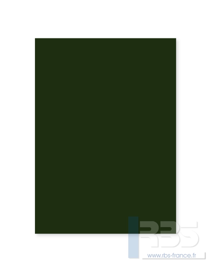 Plats de Couverture Colorit Copy - Coloris : Vert cactus